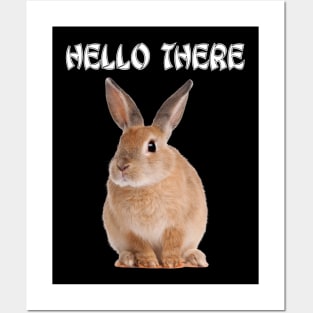 Hello There Rabbit Posters and Art